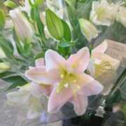 ヒメ日記 2025/07/26 17:58 投稿 古田 笑 五十路マダムエクスプレス神戸店(カサブランカグループ)