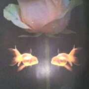 ヒメ日記 2025/09/01 20:04 投稿 古田 笑 五十路マダムエクスプレス神戸店(カサブランカグループ)