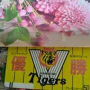 ヒメ日記 2025/09/08 08:26 投稿 古田 笑 五十路マダムエクスプレス神戸店(カサブランカグループ)