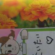 ヒメ日記 2025/09/11 20:54 投稿 古田 笑 五十路マダムエクスプレス神戸店(カサブランカグループ)