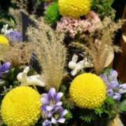 ヒメ日記 2025/09/17 17:52 投稿 古田 笑 五十路マダムエクスプレス神戸店(カサブランカグループ)