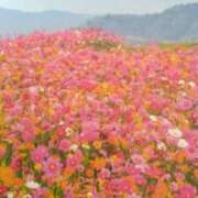 ヒメ日記 2025/09/23 08:08 投稿 古田 笑 五十路マダムエクスプレス神戸店(カサブランカグループ)