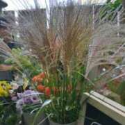 ヒメ日記 2025/09/25 23:14 投稿 古田 笑 五十路マダムエクスプレス神戸店(カサブランカグループ)