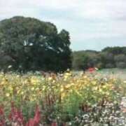 ヒメ日記 2025/09/27 14:42 投稿 古田 笑 五十路マダムエクスプレス神戸店(カサブランカグループ)