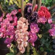 ヒメ日記 2025/09/28 16:26 投稿 古田 笑 五十路マダムエクスプレス神戸店(カサブランカグループ)