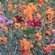 ヒメ日記 2025/09/30 08:50 投稿 古田 笑 五十路マダムエクスプレス神戸店(カサブランカグループ)