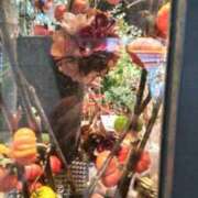 ヒメ日記 2025/09/30 23:42 投稿 古田 笑 五十路マダムエクスプレス神戸店(カサブランカグループ)