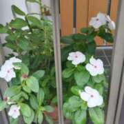 ヒメ日記 2025/10/23 07:10 投稿 古田 笑 五十路マダムエクスプレス神戸店(カサブランカグループ)