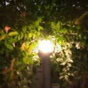 ヒメ日記 2025/10/23 21:32 投稿 古田 笑 五十路マダムエクスプレス神戸店(カサブランカグループ)