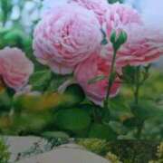 ヒメ日記 2025/10/26 22:54 投稿 古田 笑 五十路マダムエクスプレス神戸店(カサブランカグループ)