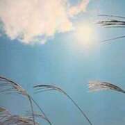 ヒメ日記 2025/11/14 08:22 投稿 古田 笑 五十路マダムエクスプレス神戸店(カサブランカグループ)