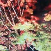 ヒメ日記 2025/11/14 18:46 投稿 古田 笑 五十路マダムエクスプレス神戸店(カサブランカグループ)