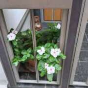 ヒメ日記 2025/11/28 07:52 投稿 古田 笑 五十路マダムエクスプレス神戸店(カサブランカグループ)