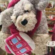 ヒメ日記 2025/11/29 07:38 投稿 古田 笑 五十路マダムエクスプレス神戸店(カサブランカグループ)