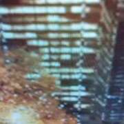 ヒメ日記 2025/11/29 21:24 投稿 古田 笑 五十路マダムエクスプレス神戸店(カサブランカグループ)