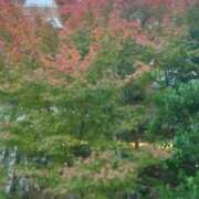 古田 笑 昼休憩で〜す 五十路マダムエクスプレス神戸店(カサブランカグループ)