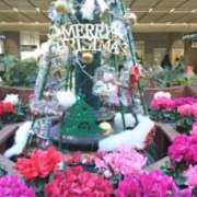 ヒメ日記 2025/12/09 22:56 投稿 古田 笑 五十路マダムエクスプレス神戸店(カサブランカグループ)