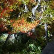 ヒメ日記 2025/12/11 19:28 投稿 古田 笑 五十路マダムエクスプレス神戸店(カサブランカグループ)