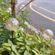 ヒメ日記 2025/12/12 12:50 投稿 古田 笑 五十路マダムエクスプレス神戸店(カサブランカグループ)