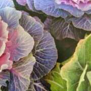 ヒメ日記 2026/01/02 09:32 投稿 古田 笑 五十路マダムエクスプレス神戸店(カサブランカグループ)