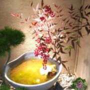 古田 笑 おはようございます 五十路マダムエクスプレス神戸店(カサブランカグループ)