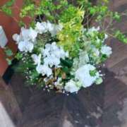 ヒメ日記 2026/03/01 19:04 投稿 古田 笑 五十路マダムエクスプレス神戸店(カサブランカグループ)