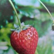 ヒメ日記 2026/03/18 22:10 投稿 古田 笑 五十路マダムエクスプレス神戸店(カサブランカグループ)