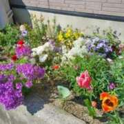 古田 笑 御礼 五十路マダムエクスプレス神戸店(カサブランカグループ)