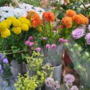 ヒメ日記 2026/06/12 20:28 投稿 古田 笑 五十路マダムエクスプレス神戸店(カサブランカグループ)