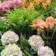 ヒメ日記 2026/06/21 21:06 投稿 古田 笑 五十路マダムエクスプレス神戸店(カサブランカグループ)