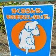 ヒメ日記 2026/06/22 21:48 投稿 古田 笑 五十路マダムエクスプレス神戸店(カサブランカグループ)