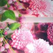 ヒメ日記 2026/09/06 19:06 投稿 古田 笑 五十路マダムエクスプレス神戸店(カサブランカグループ)