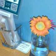 ヒメ日記 2026/09/09 12:12 投稿 古田 笑 五十路マダムエクスプレス神戸店(カサブランカグループ)