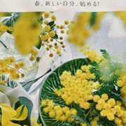 ヒメ日記 2025/03/01 13:26 投稿 高井千冬 五十路マダムエクスプレス神戸店(カサブランカグループ)