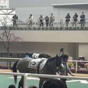 ヒメ日記 2025/03/02 19:44 投稿 高井千冬 五十路マダムエクスプレス神戸店(カサブランカグループ)