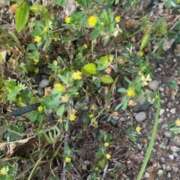 ヒメ日記 2025/05/14 18:44 投稿 高井千冬 五十路マダムエクスプレス神戸店(カサブランカグループ)