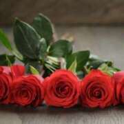 ヒメ日記 2025/06/14 07:36 投稿 高井千冬 五十路マダムエクスプレス神戸店(カサブランカグループ)