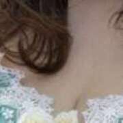 高井千冬 感謝。 五十路マダムエクスプレス神戸店(カサブランカグループ)