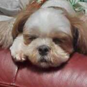 ヒメ日記 2025/08/18 19:20 投稿 常坂文乃 五十路マダムエクスプレス神戸店(カサブランカグループ)