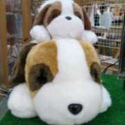 ヒメ日記 2024/12/30 06:20 投稿 谷繁旬子 五十路マダムエクスプレス神戸店(カサブランカグループ)