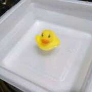 ヒメ日記 2025/02/07 15:10 投稿 谷繁旬子 五十路マダムエクスプレス神戸店(カサブランカグループ)