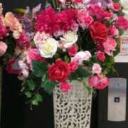 谷繁旬子 おはようございます(*⌒∇⌒*) 五十路マダムエクスプレス神戸店(カサブランカグループ)