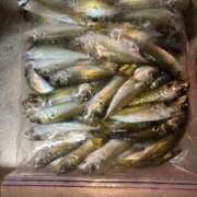 ヒメ日記 2024/12/18 08:32 投稿 川池江里奈 五十路マダムエクスプレス神戸店(カサブランカグループ)