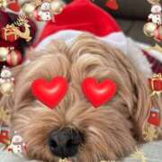 ヒメ日記 2024/12/24 18:00 投稿 川池江里奈 五十路マダムエクスプレス神戸店(カサブランカグループ)