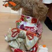 ヒメ日記 2025/01/03 09:02 投稿 川池江里奈 五十路マダムエクスプレス神戸店(カサブランカグループ)