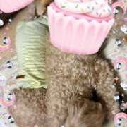 ヒメ日記 2025/02/10 11:52 投稿 川池江里奈 五十路マダムエクスプレス神戸店(カサブランカグループ)