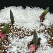 ヒメ日記 2025/02/19 18:54 投稿 川池江里奈 五十路マダムエクスプレス神戸店(カサブランカグループ)