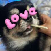 ヒメ日記 2025/04/01 22:12 投稿 川池江里奈 五十路マダムエクスプレス神戸店(カサブランカグループ)