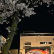 ヒメ日記 2025/04/07 20:58 投稿 川池江里奈 五十路マダムエクスプレス神戸店(カサブランカグループ)