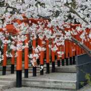 ヒメ日記 2025/04/08 01:44 投稿 川池江里奈 五十路マダムエクスプレス神戸店(カサブランカグループ)